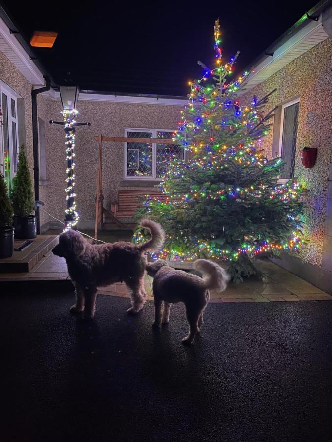 Annie Dee'S Guest Accommodation Ballygowan Extérieur photo